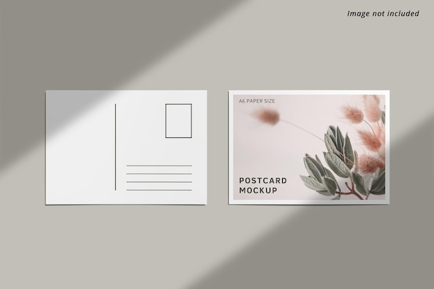 A6 postcard mockup design