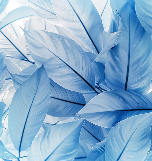 PSD abstract blue leaves pattern light white background high resolution digital art in the style