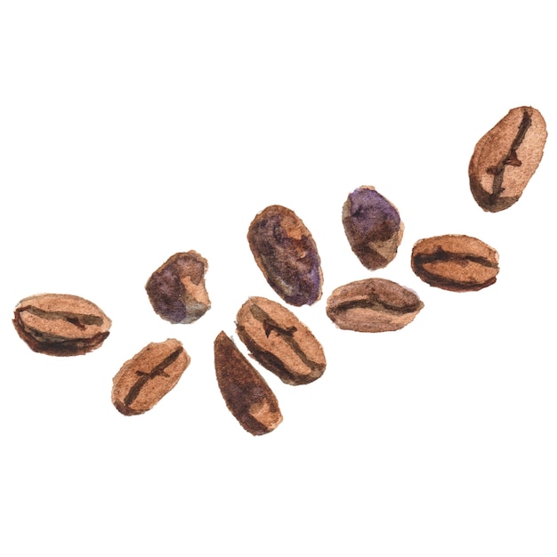 PSD abstract watercolor illustration of coffee beans hand drawn nature design elements isolated on white background