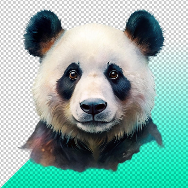 PSD adorable panda bear on transperent background