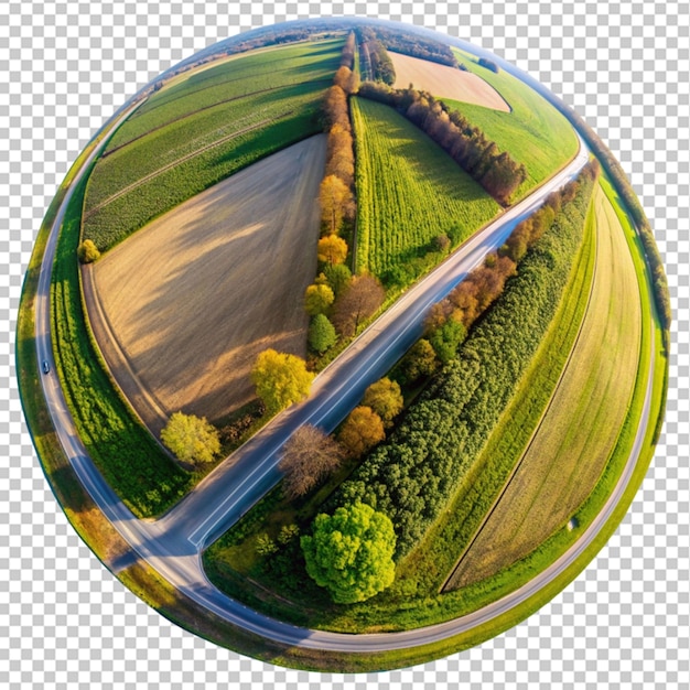 aerial shot of a long road surrounded by trees on transparent background