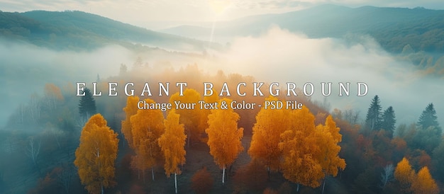 Aerial view of beautiful orange trees on the hill and mountains in low clouds at sunrise in autumn