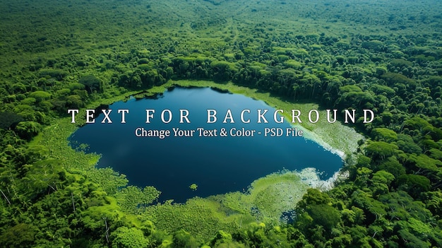 Aerial View of a Serene Lake Surrounded by Lush Green Foliage