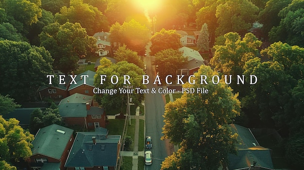 Aerial View of a Suburban Street at Sunset