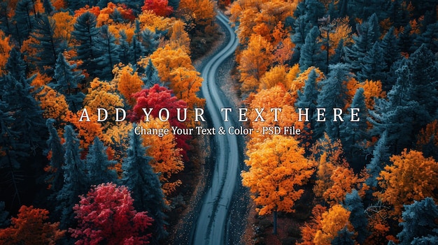 PSD aerial view of winding road through colorful autumn forest