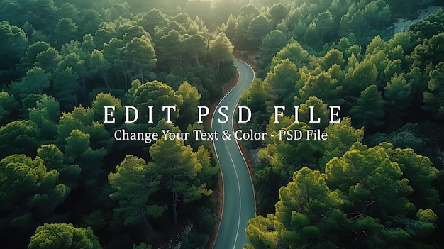 PSD aerial view of a winding road through a lush forest