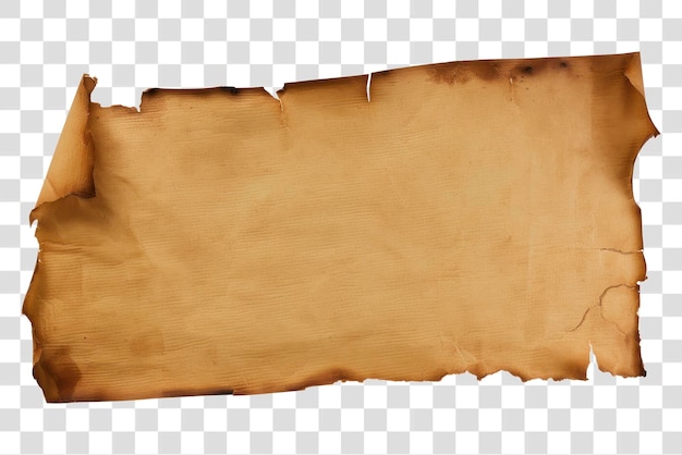 PSD aged parchment paper background