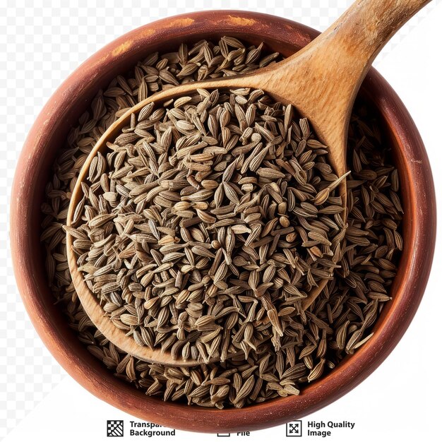 PSD ajwain or trachyspermum ammi caraway herb spice seeds in bowl and spoon