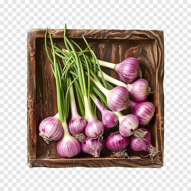 PSD allium sativum isolated on a transparent background