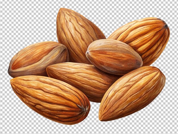 almonds seeds