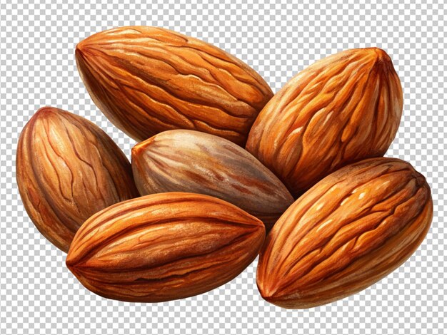 almonds seeds