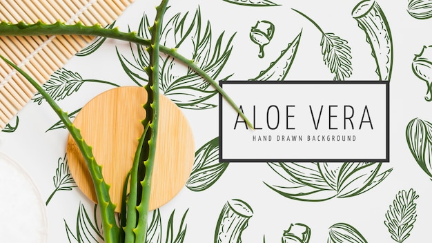 Aloe vera hand drawn background