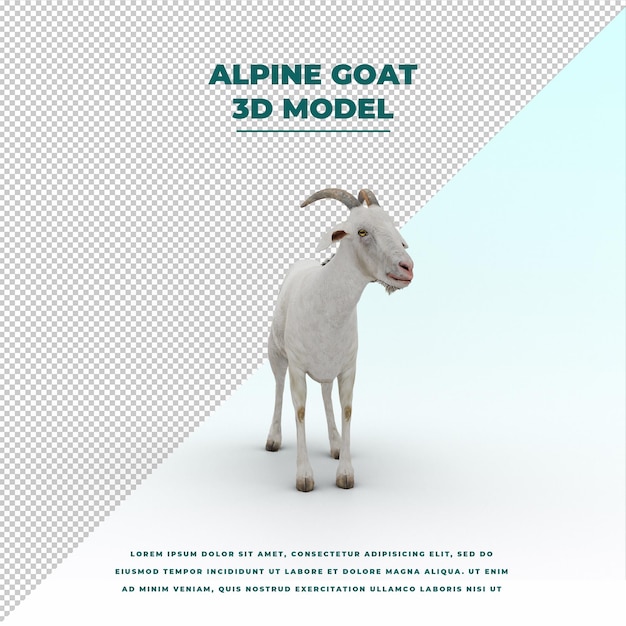 Alpine goat