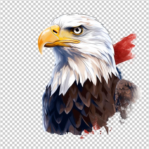 american bald eagle png