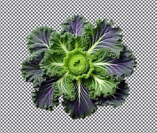 Amusing Kaleidoscopic Kale isolated on transparent background