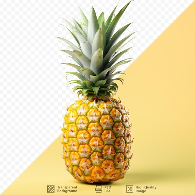 Ananas a tropical fruit isolated on transparent background