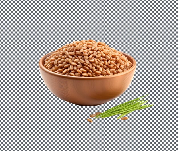 Ancient Grain isolated on transparent background