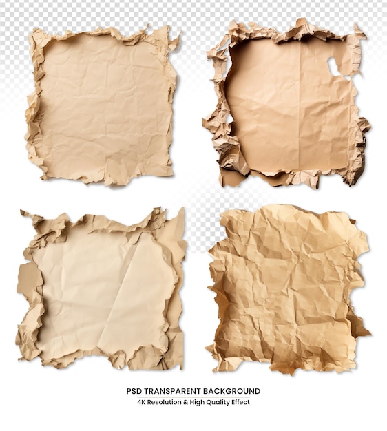 ancient parchment paper with torn edges Transparent background