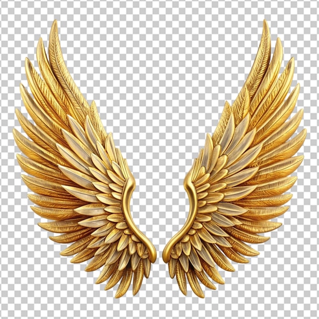 Angel Wings Close Ups Premium Quality Stock Photography