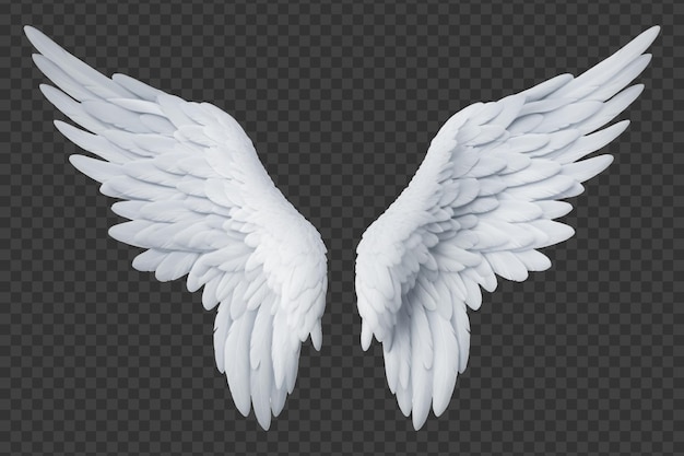 Angel Wings Isolated on Transparent Background