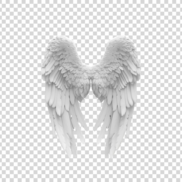 Angel wings Isolated on a white background