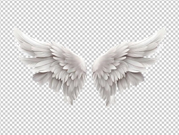 angel wings with white feathers