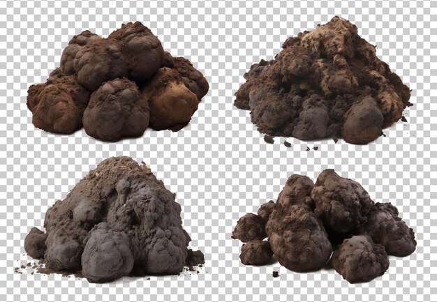 PSD animal dung set isolated on transparent background