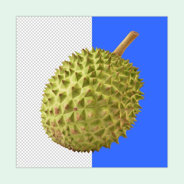 Annona muricata Fruit PSD A soursop fruit isolated on a transparent background