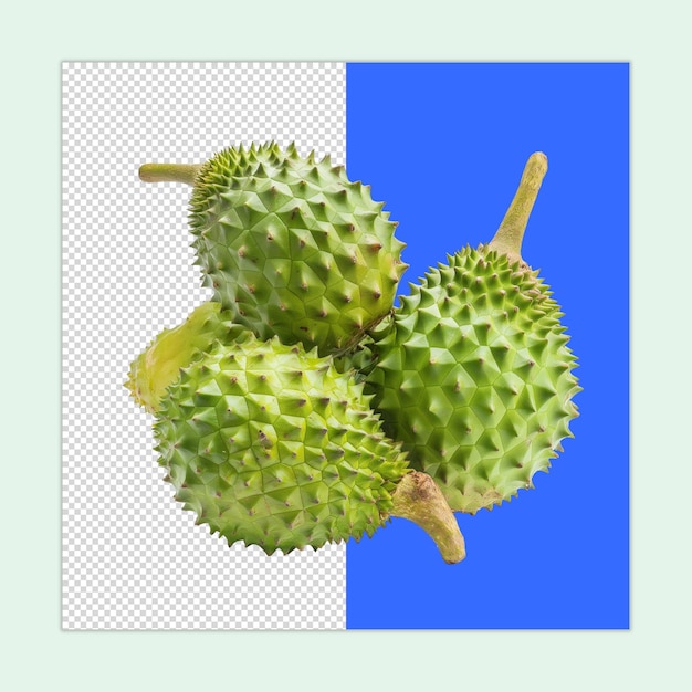 Annona muricata Fruit PSD A soursop fruit isolated on a transparent background