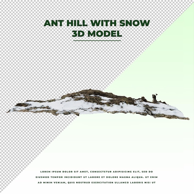 Ant Hill with Snow