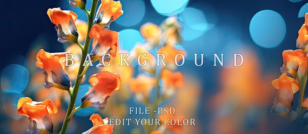 Antirrhinum flower abstract bokeh background orange blue light