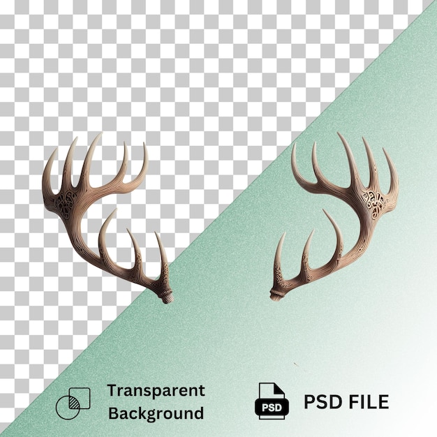 Antlers isolated on transparent background