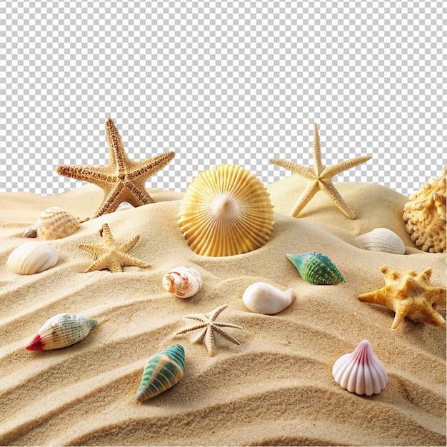 PSD arranged diversity of seashells