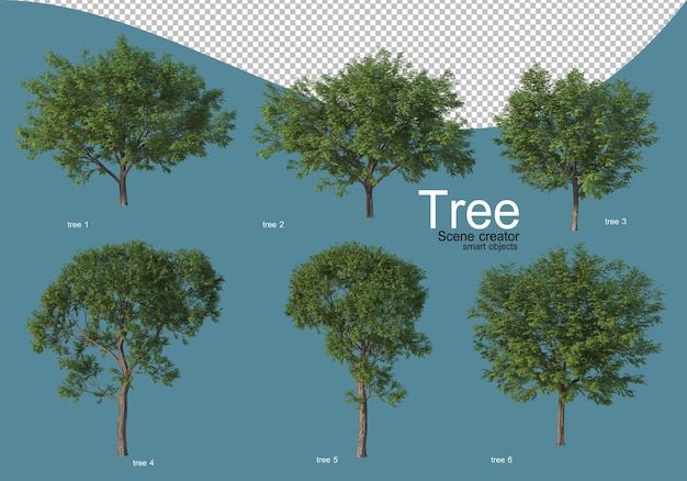 arrangement of various types of trees in different colors