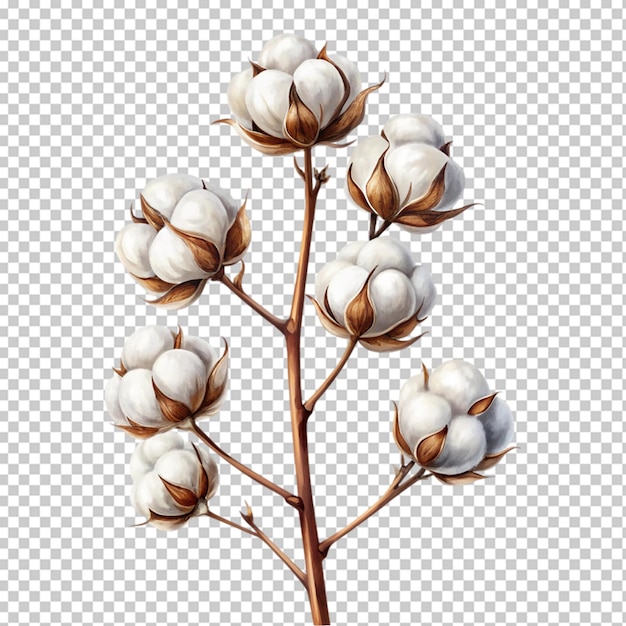 PSD art of a cotton branch