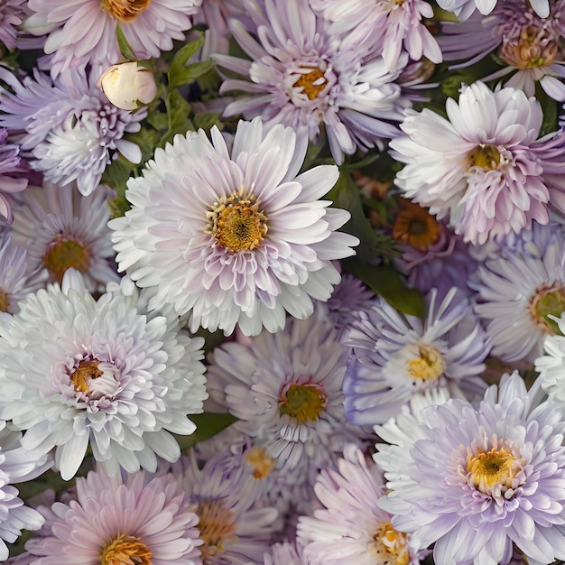 Asters pastel pattern radiates warmth Seamless pattern