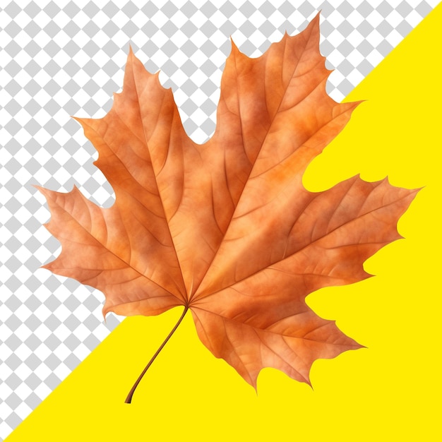 autumn clipping path