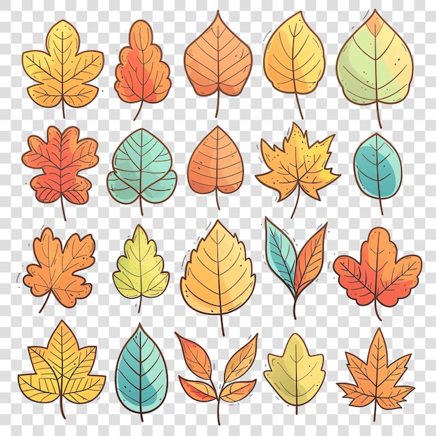 Autumn leaves transparent background watercolor clipart