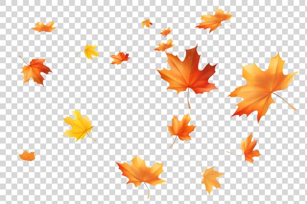 PSD autumn leaves on a transparent background