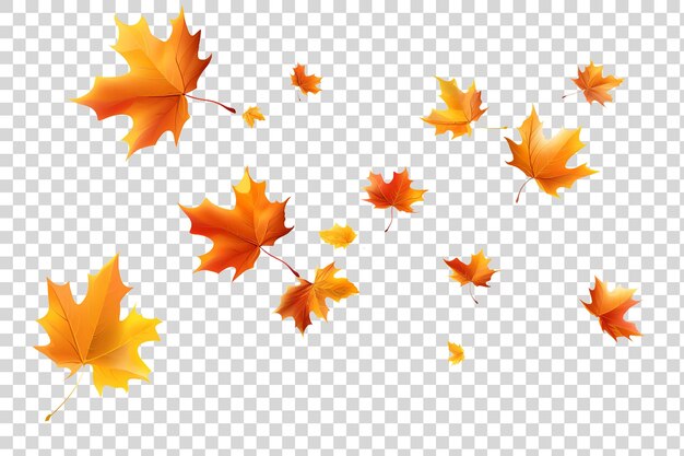 PSD autumn leaves on a transparent background