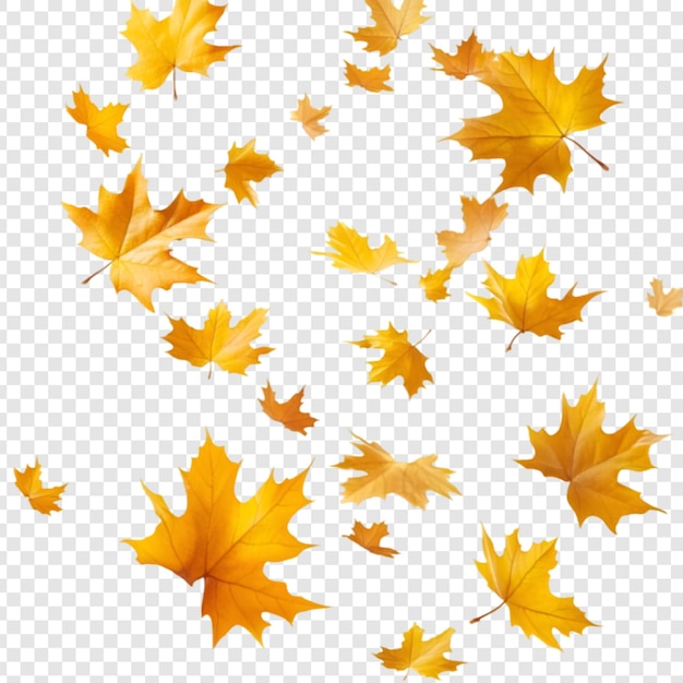 PSD autumn leaves on a transparent background