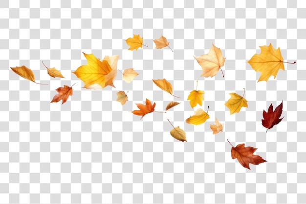 Autumn leaves transparent overlay effect