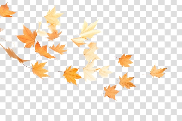 Autumn leaves transparent PNG element