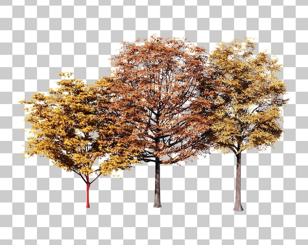 Autumn tree illustration cutout set