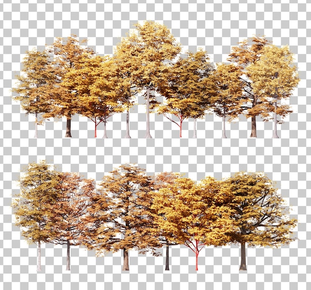 Autumn tree illustration cutout set