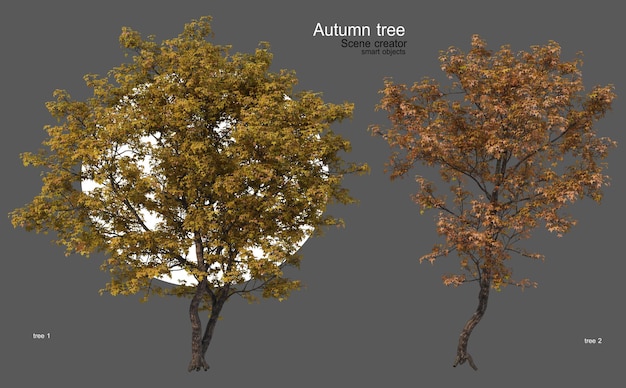 Autumn trees of various shapes