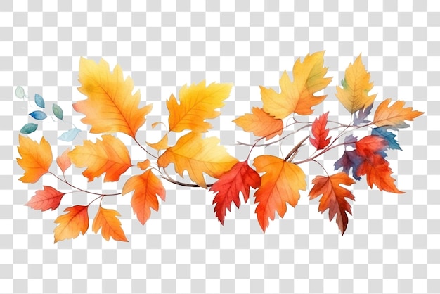 Autumn watercolor leaves transparent