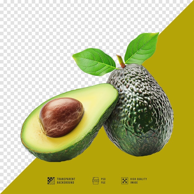 Avocado fruit images without HD quality background