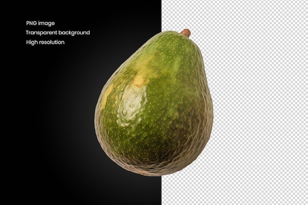 Avocado fruit single view with isolated white background