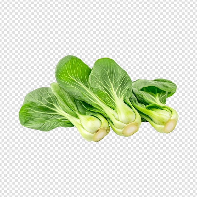 baby pak choy isolated on transparent background